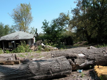 Group of vacant lots